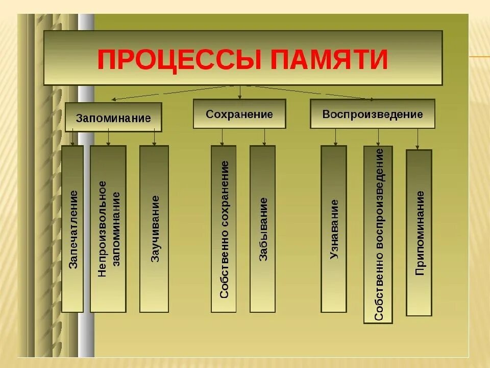 Запоминание сохранение и воспроизведение образов. Процессы памяти. Процессы памяти запоминание. Процессы памяти в психологии. Основные процессы памяти схема.