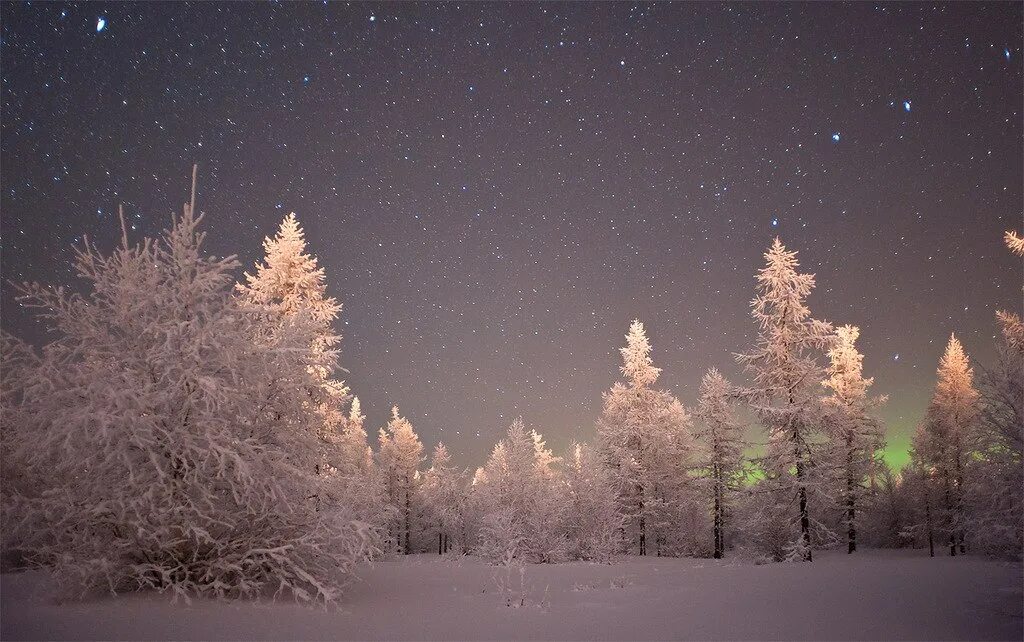 Зимняя ночь. Зимний лес ночью. Лес зимой ночью. Полярная ночь. День ночь новый уренгой