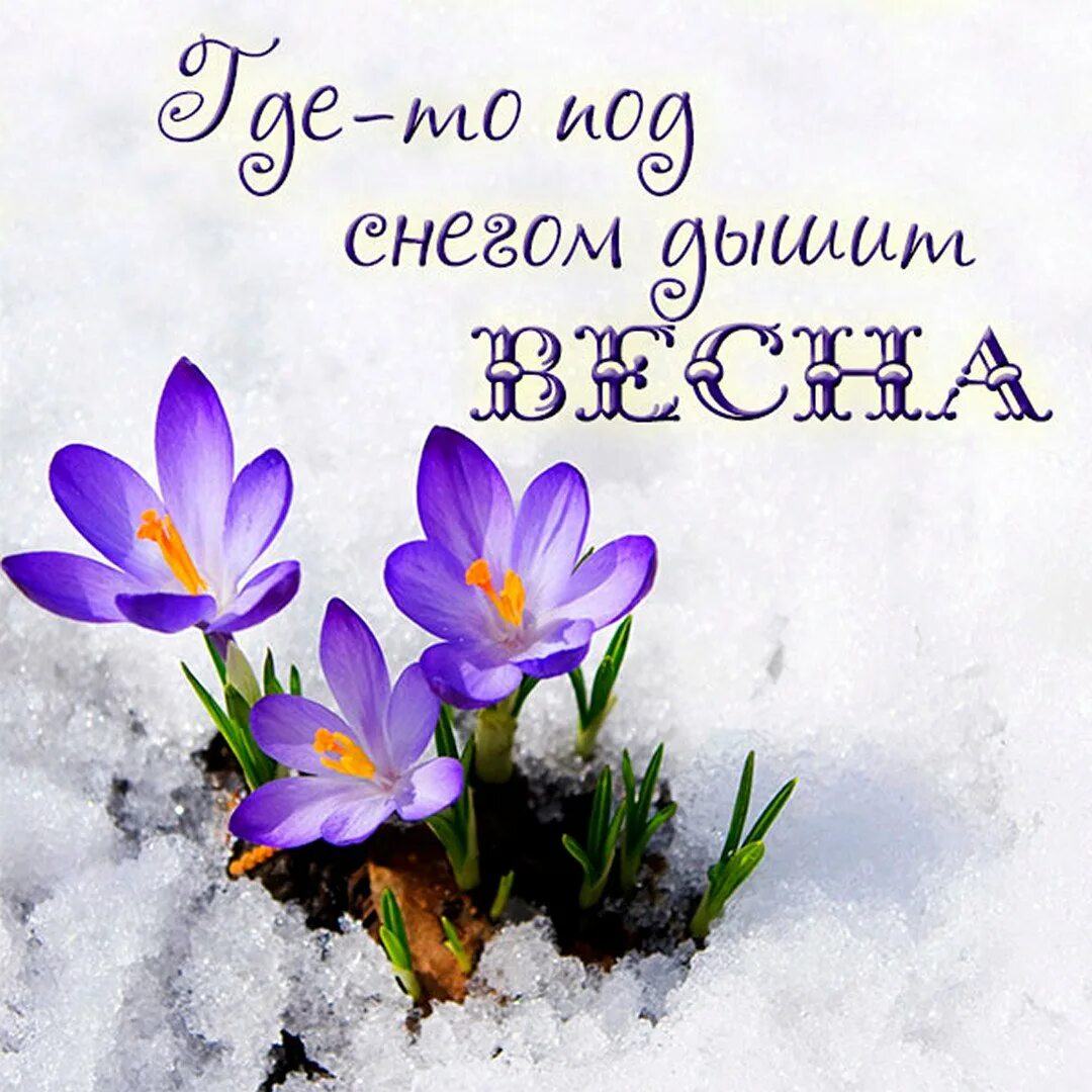 Доброе утро подснежники с надписями. Открытки с подснежниками. С началом весны.