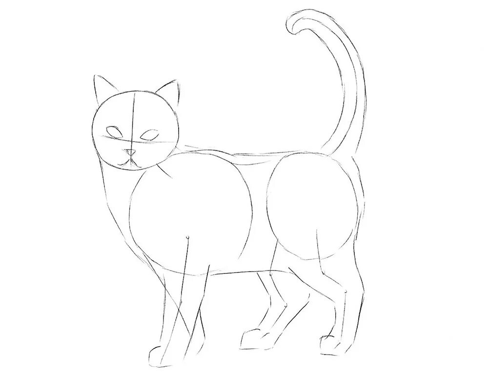 Рисовать поэтапно котиков. Схема рисования кошки. Поэтапный рисунок кошки. Рисунки кошки по шагам. Рисование кошки по этапно.