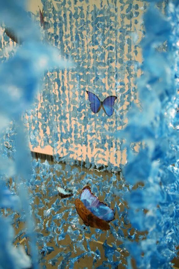 Claire morgan exhibition. Клэр морган. Какие бывают инсталляции в искусстве. Инсталляции клэр морган. Клэр бишоп искусство инсталляции.