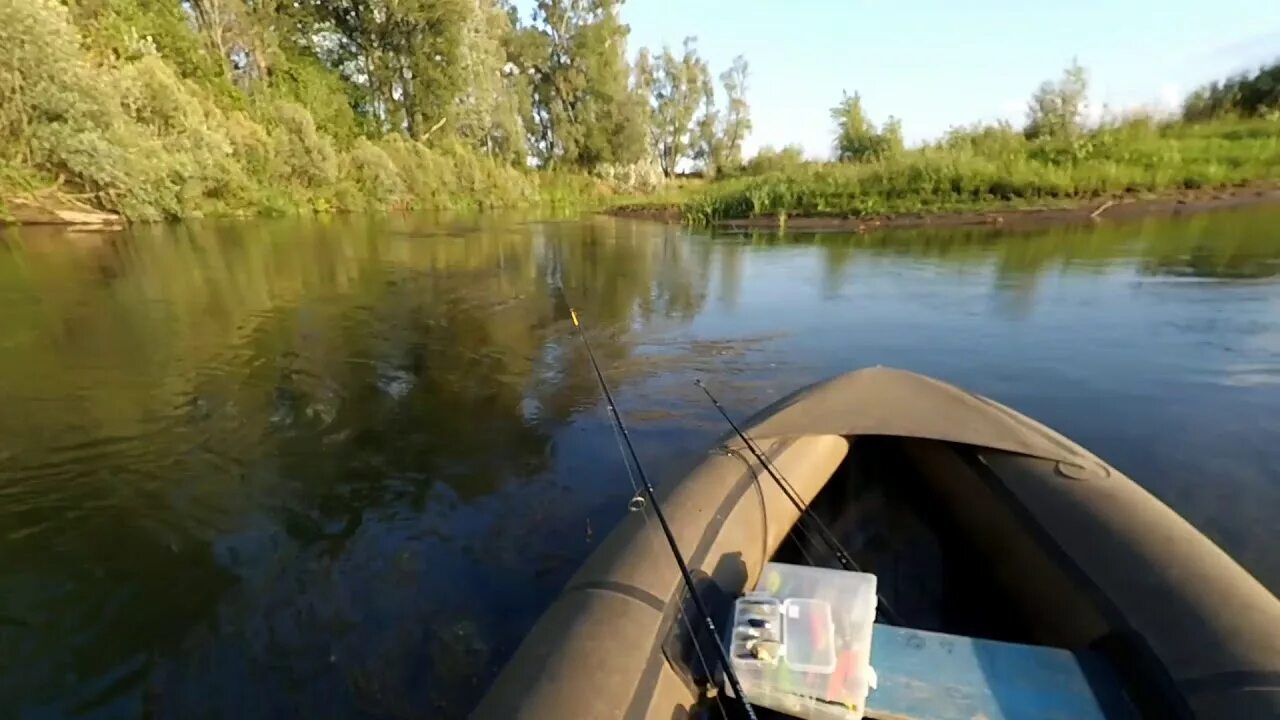 Уровень воды в реке ик. Река большой ИК сплав. Р ИК рыбалка. Большой ИК рыбалка. Рыбы в реке ИК.