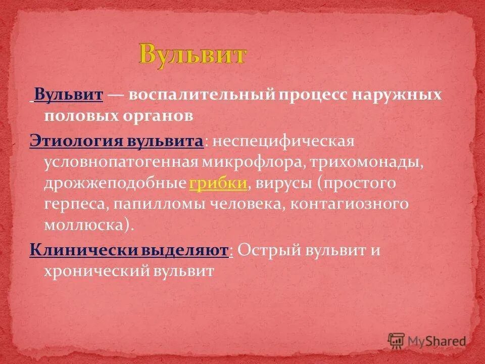 Вагинит причины симптомы и лечение