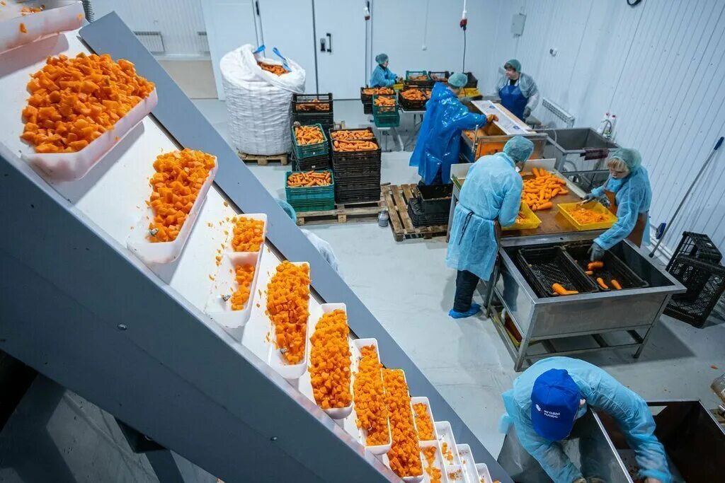 Завод молочные реки. Маслобойный завод щигры. Территория пищевых предприятий. Богородский индустриальный парк - ногинск,. Завод завод.