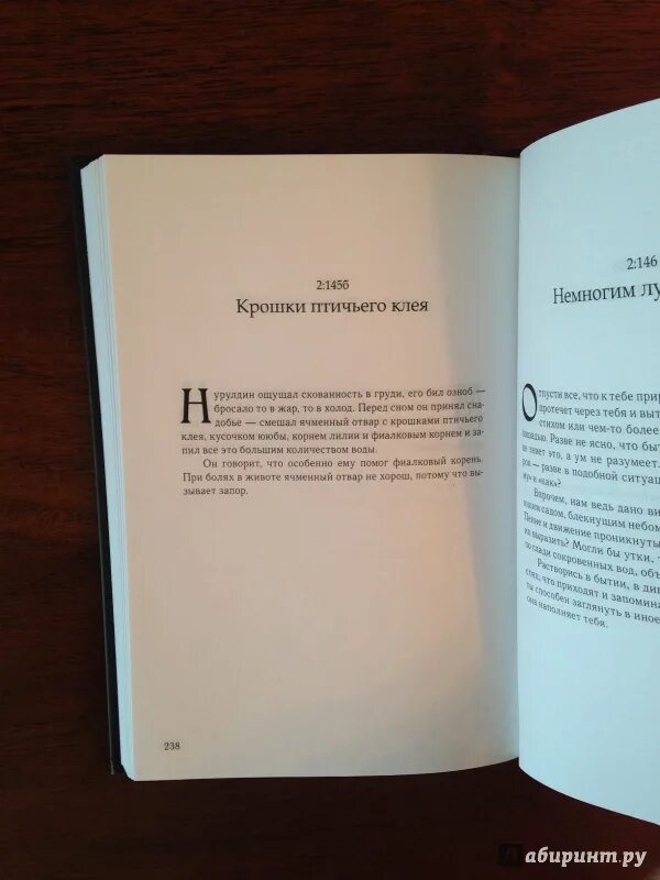 Макс фрай "гугландские топи". Топить книгами. Сокровища воспоминания джалаладдин руми книга. Утопленная книга. Топить книгами.