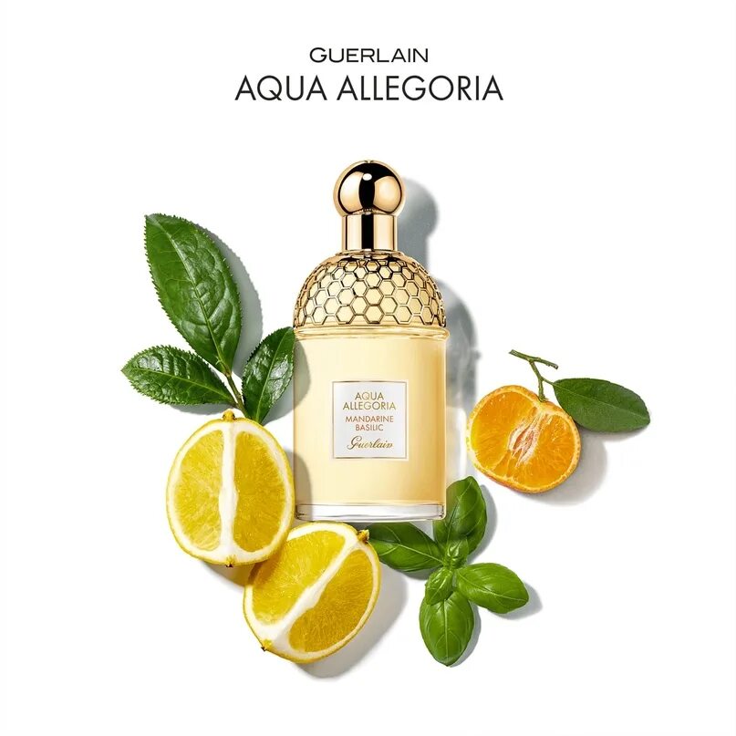 Духи Aqua Allegoria Mandarine basilic. Guerlain Aqua Allegoria Mandarine basilic 75ml. Духи Guerlain Aqua Allegoria Mandarine-basilic. Туалетная вода Aqua Allegoria Mandarine basilic 75 мл. Туалетная вода aqua allegoria mandarine