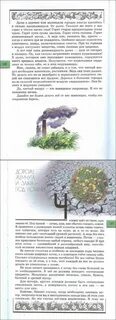 Невидимое сокровище из книги великан