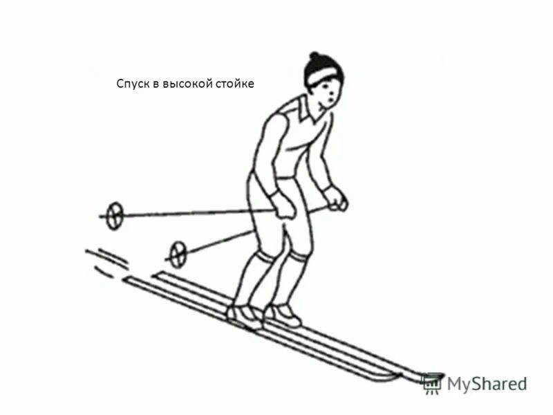 средняя стойка при спуске на лыжах. спуск в высокой стойке. спуски в основной и низкой стойке. техника спуска на лыжах. спуск в высокой стойке на лыжах.