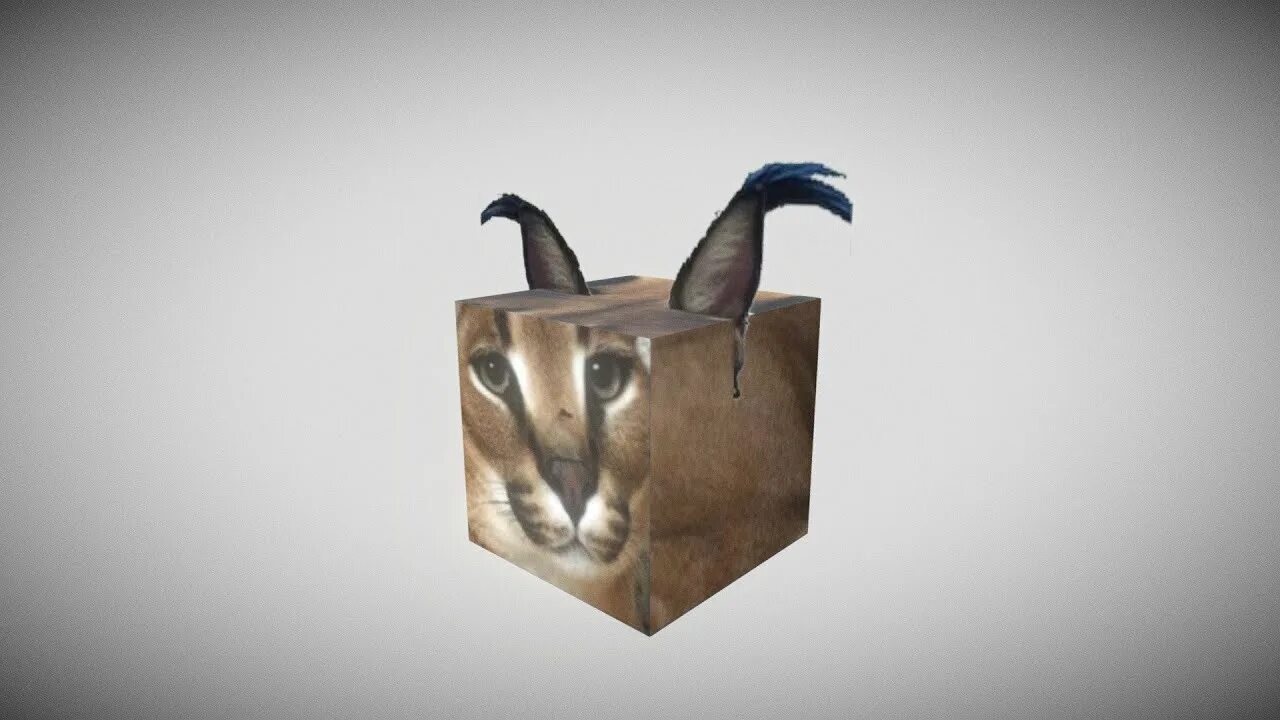 Шлеп магазин