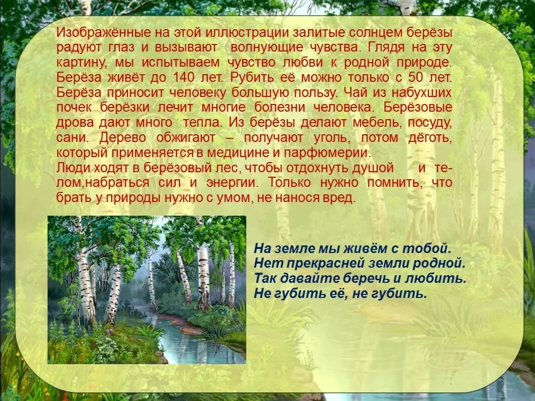 Изложение лес источник жизни. Изложение береза.