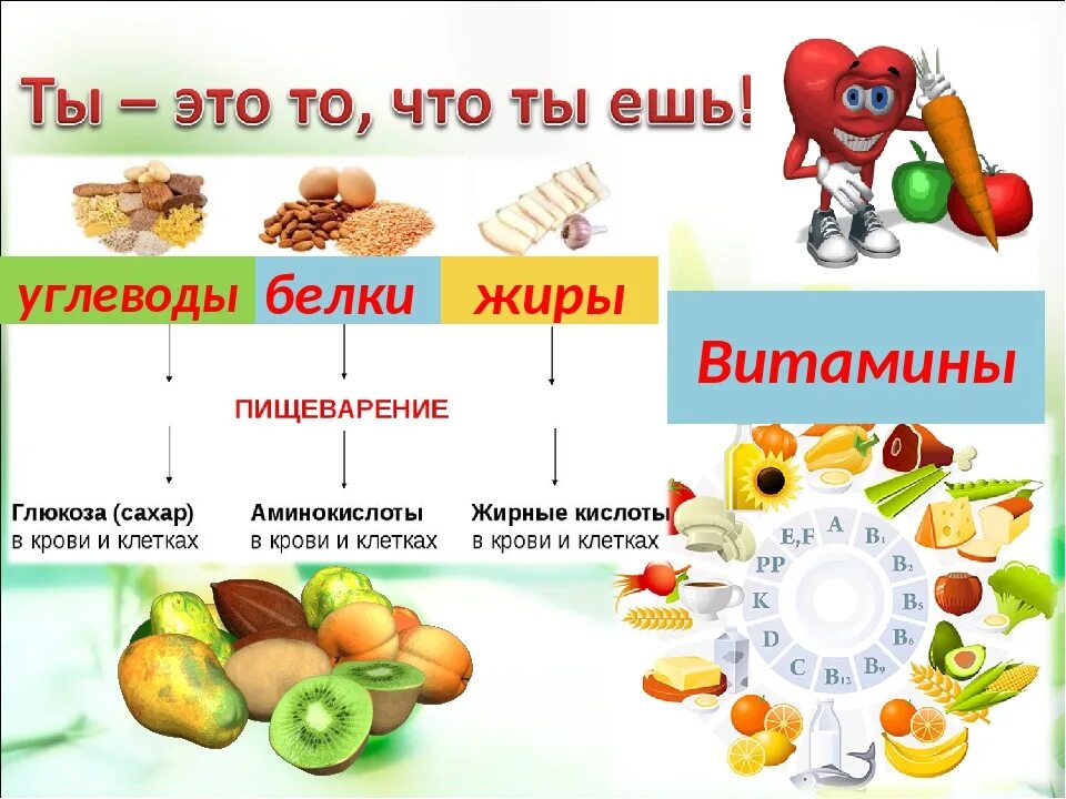 Белки жиры углеводы витамины Минеральные вещества. Белки жиры углеводы витамины таблица. Белки жиры углеводы витамины в продуктах. Продукты с белками жирами углеводами и витаминами. Питание белки жиры углеводы витамины