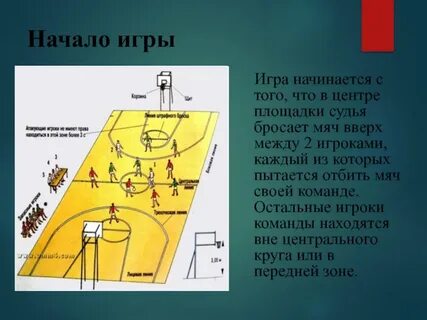 Сколько человек в баскетбольной площадке