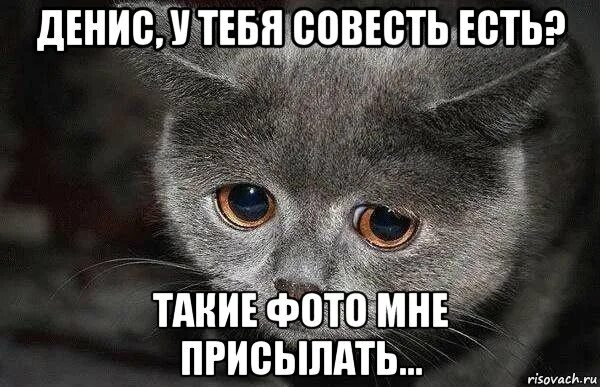 Совесть кота. Где-то грустит один котик. У тебя совесть есть. Прости меня грустный котик. Совесть Мем.