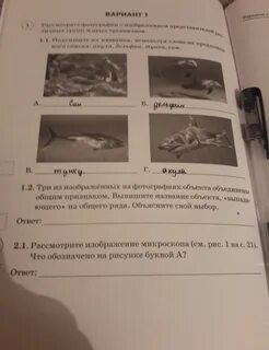 2 объекта объединены общим признаком