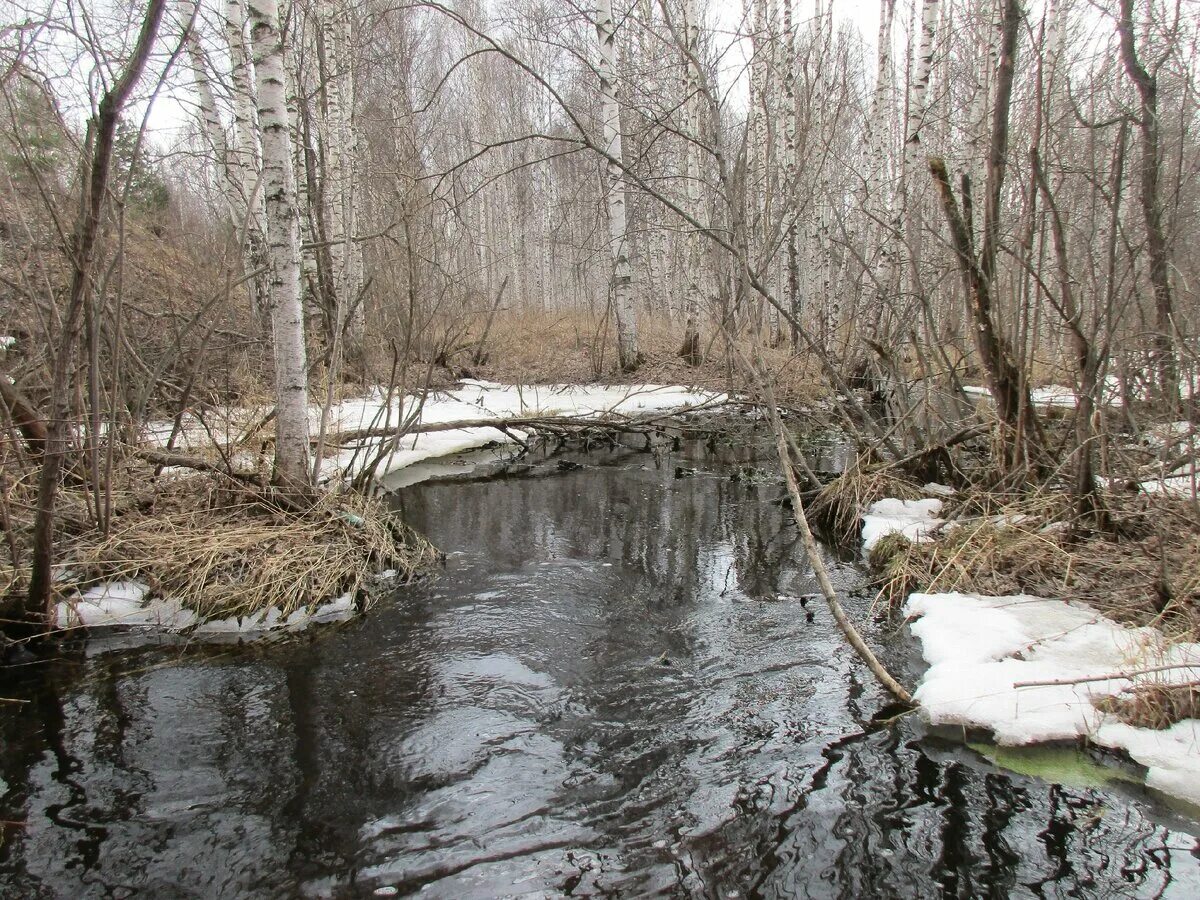 Весенний поток. Весна поток. Карагай (приток бугузуна). Река кизил в башкирии. Поток воды весенней.