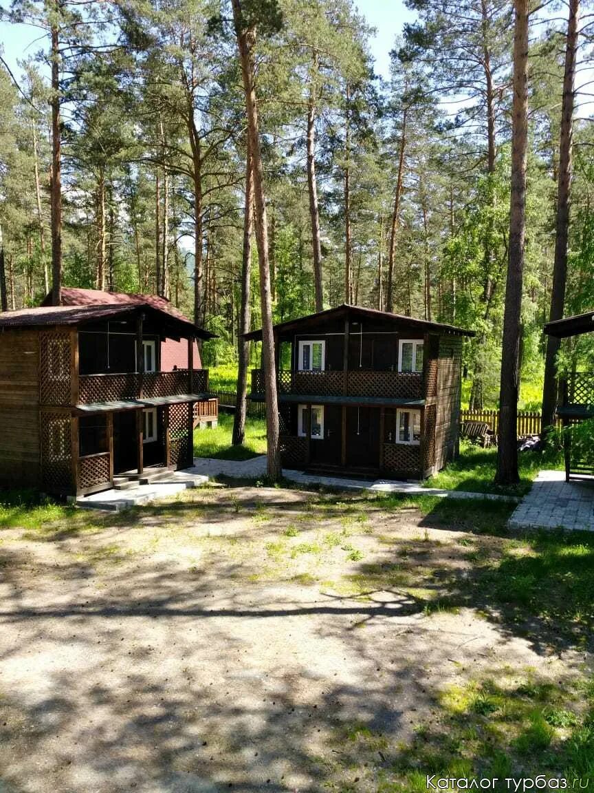 Сибиряк алтай. Эко деревня сибиряки горный алтай. База отдыха сибиряк. Эко деревня сибиряки горный алтай. Горный алтай базы отдыха сибиряки.