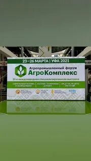 Золотая кочерыжка нижний тагил 2024