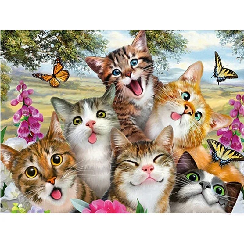 Много кошек. Разноцветные котята. Разноцветная кошка. Картина котенок.