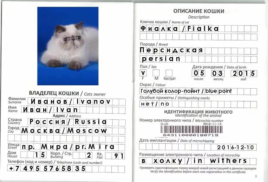 Пол должен быть заполнен. Пол должен быть заполнен