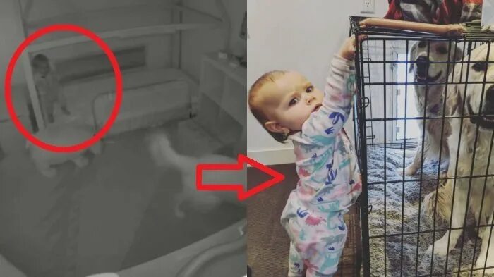 Поставил камеру в комнату сына. Отец установил в комнате дочери скрытую камеру. родители поставили камеру. комната дочерей камеры. мать установила камеру в комнате дочери.