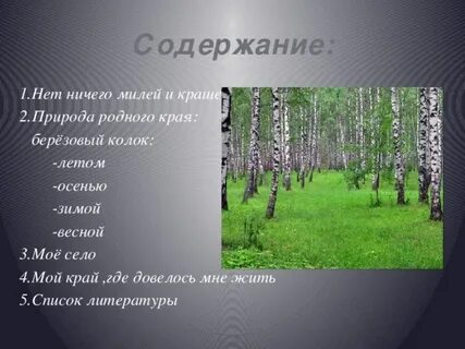 Чем интересны уголки природы