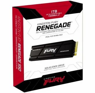 Kingston fury renegade sfyrsk 1000g