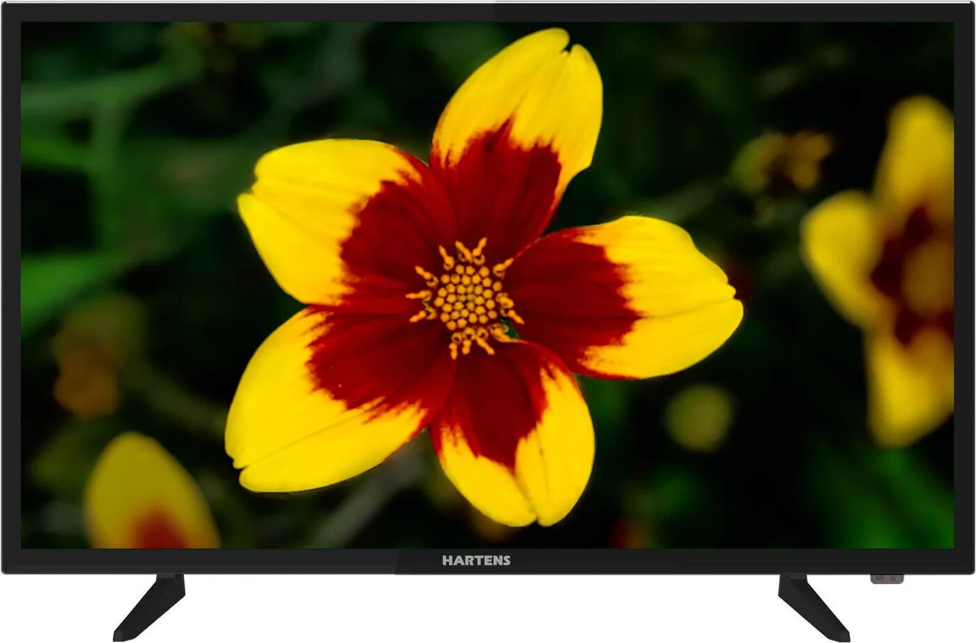 Hartens htv 32r01 t2c a4 b. Hartens 32hdr03b. телевизор hartens htv-32hdr06b-s2 32. hartens телевизоры 55 дюймов. телевизор хартенс 43.
