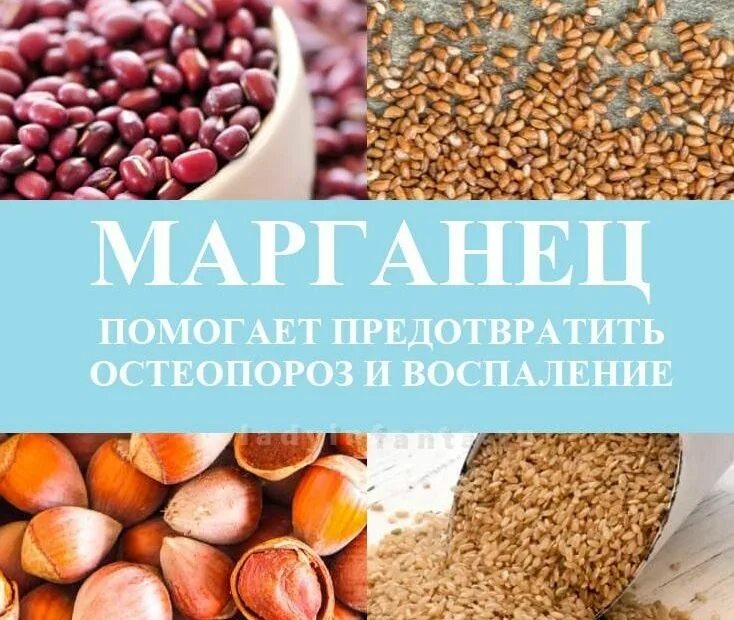 Марганец в организме человека. Марганец минерал для организма. Марганец польза для человека. Марганец витамины.