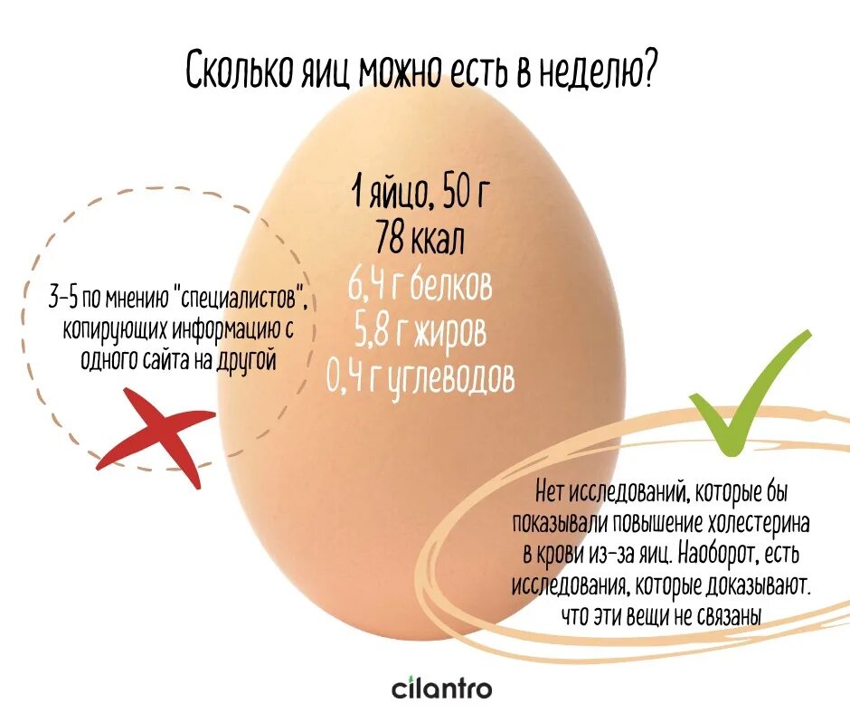Сколько можно яиц в день. Сколько яиц можно есть в день. Сколько можно съесть яиц в неделю. Сколько яиц в сутки можно съедать. Сколько яиц в неделю можно есть взрослому