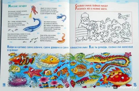 Морские загадки