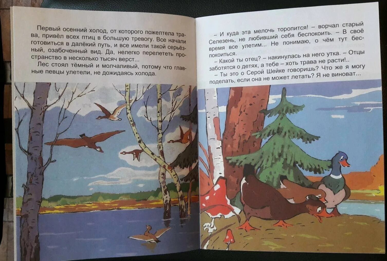 У серой шейки замерло сердце. Серая шейка из сказки д н Мамина-Сибиряка. Серая шейка Издательство речь.