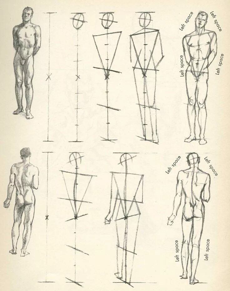 Схема человека. Фигура человека рисунок Академический пропорции. Этапы рисования фигуры человека. Схематичная фигура человека. Пропорции фигуры человека для рисования.