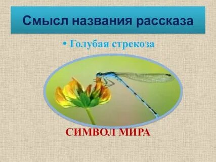 Какое отношение к жизни олицетворяет стрекоза