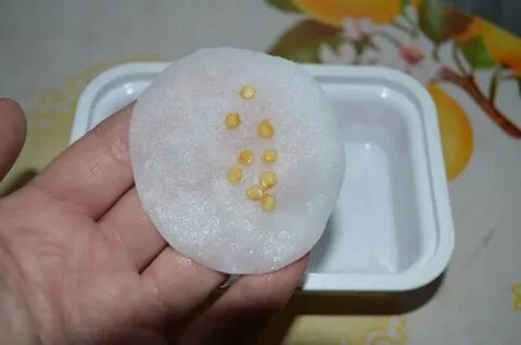На сколько можно замачивать семена перца
