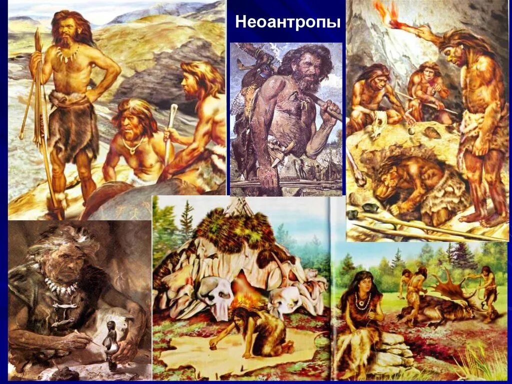 Неоантропы это. Неоантропы кроманьонцы. неоантропы и человек разумный. современные люди неоантропы. неоантропы современного типа.
