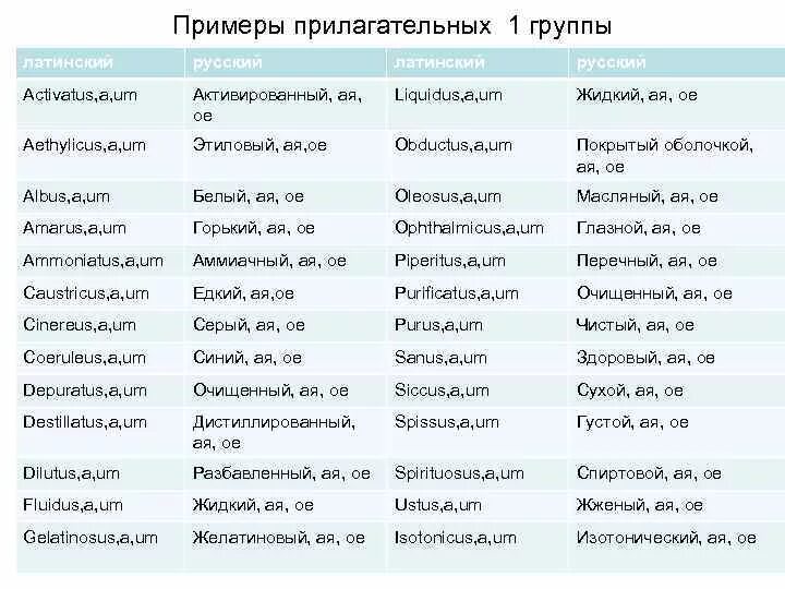 Прилагательное примеры. Прилагательные примеры. Прилагательные 1 группы латынь. Прилагательные примеры слов.