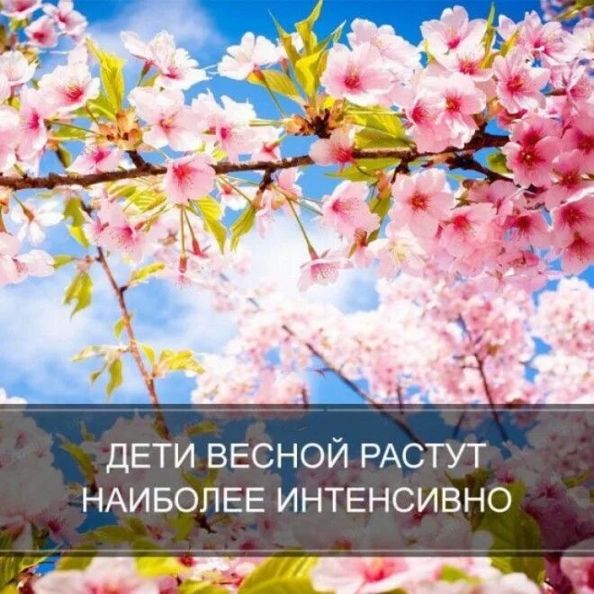 Уборка на даче. Что растет летом. Дети цветы жизни цитаты. Этой весной вырасти. Этой весной вырасти.