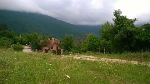 Лесной кордон