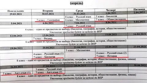 Разбор впр по русскому языку 8