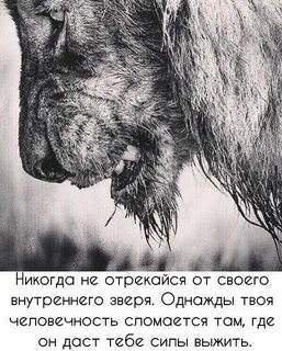 У каждого животного была