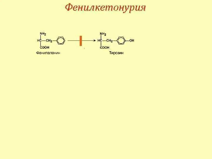 Фенилкетонурия фермент. Фенилкетонурия уравнение реакции. Реакция фенилкетонурии. Фенилкетонурия патогенез. Патогенез фенилкетонурии.