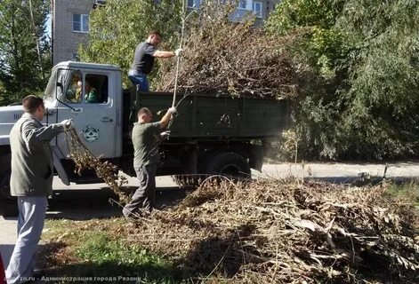 Мбу дбг рязань