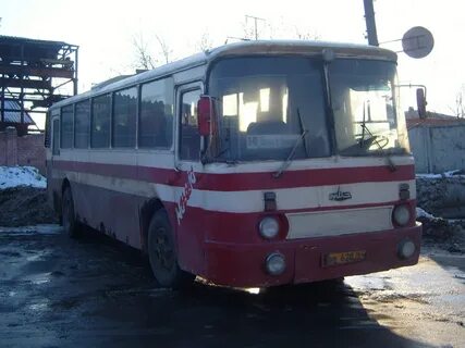 Автобус шарья