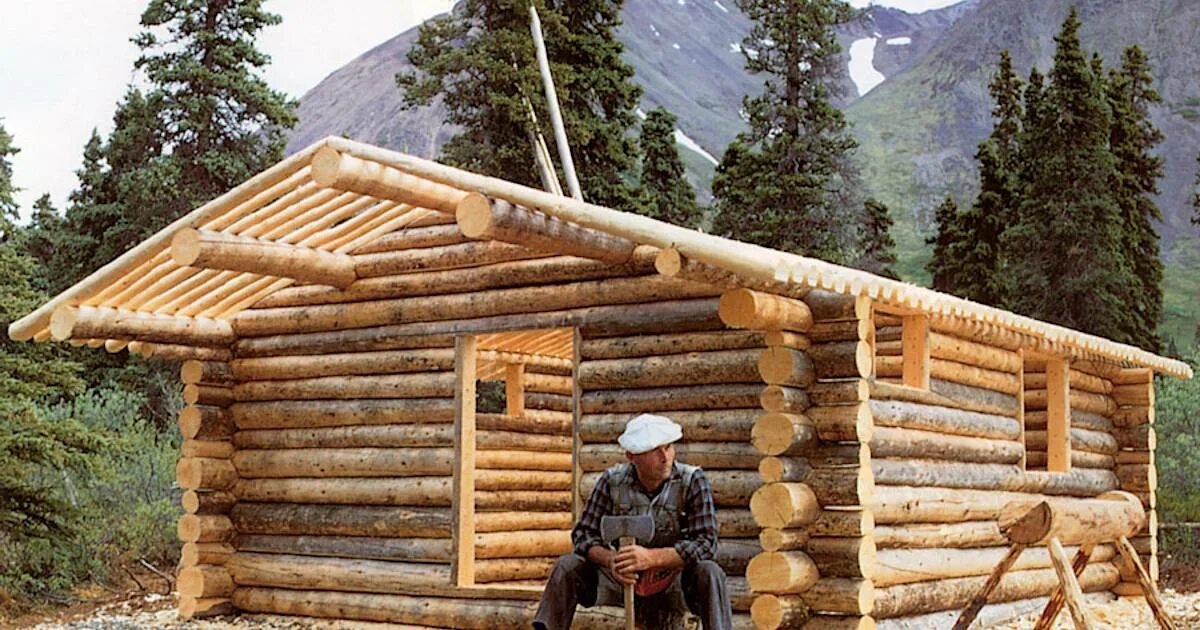 Срубы домов постройка. Срубы домов постройка