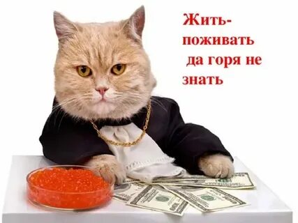 Жил поживал как пишется