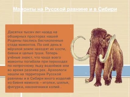 Древние жители нашей родины 6 класс история