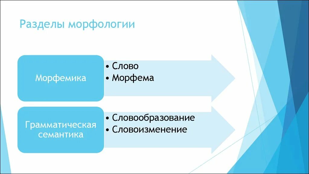 Состав морфологии. Отдел морфологии. Основные понятия морфологии. Морфология животных примеры. Основные понятия морфологии.