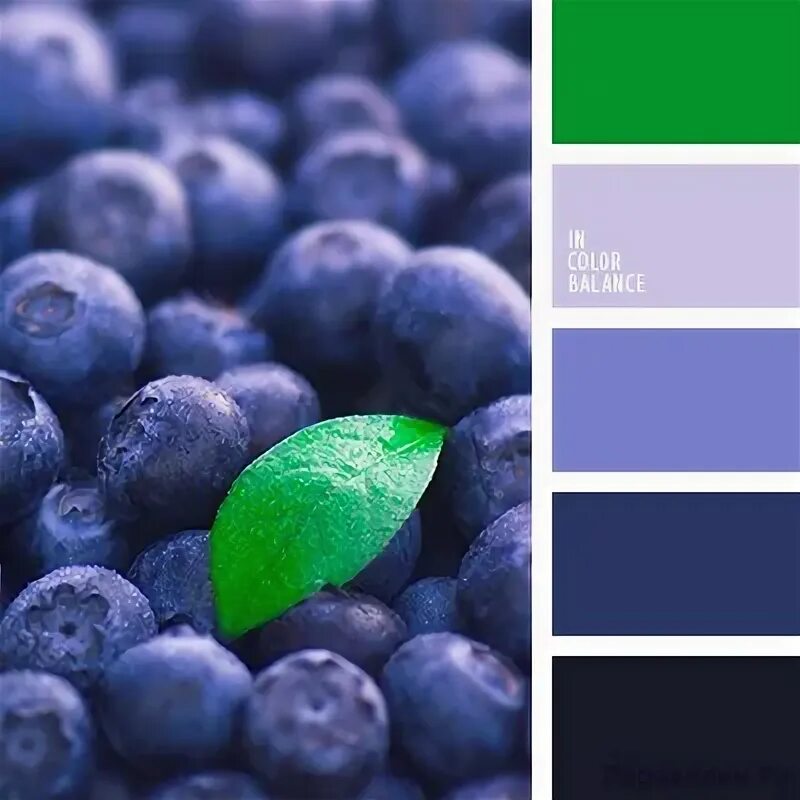 Сочетание цветов черничный. Сочетание цветов черничный. С чем сочетается голубика. С чем сочетается голубика. Голубика чили.