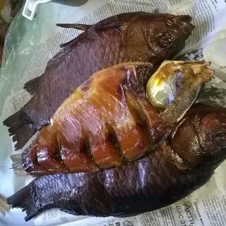 Котельниково волгоградская область рыба