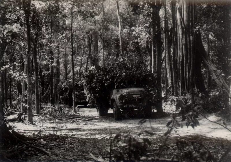 Тропа хошимина вьетнам. Тропа хошимина лаос. Тропа хошимина вьетнам. Тропа хо ши мина камбоджа. Тропа хо ши мина.